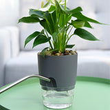 Self Watering Pots for Indoor Plants Self Watering Flower Pot with Cotton Rope Transparent Plastic Planter for Indoor Golden
